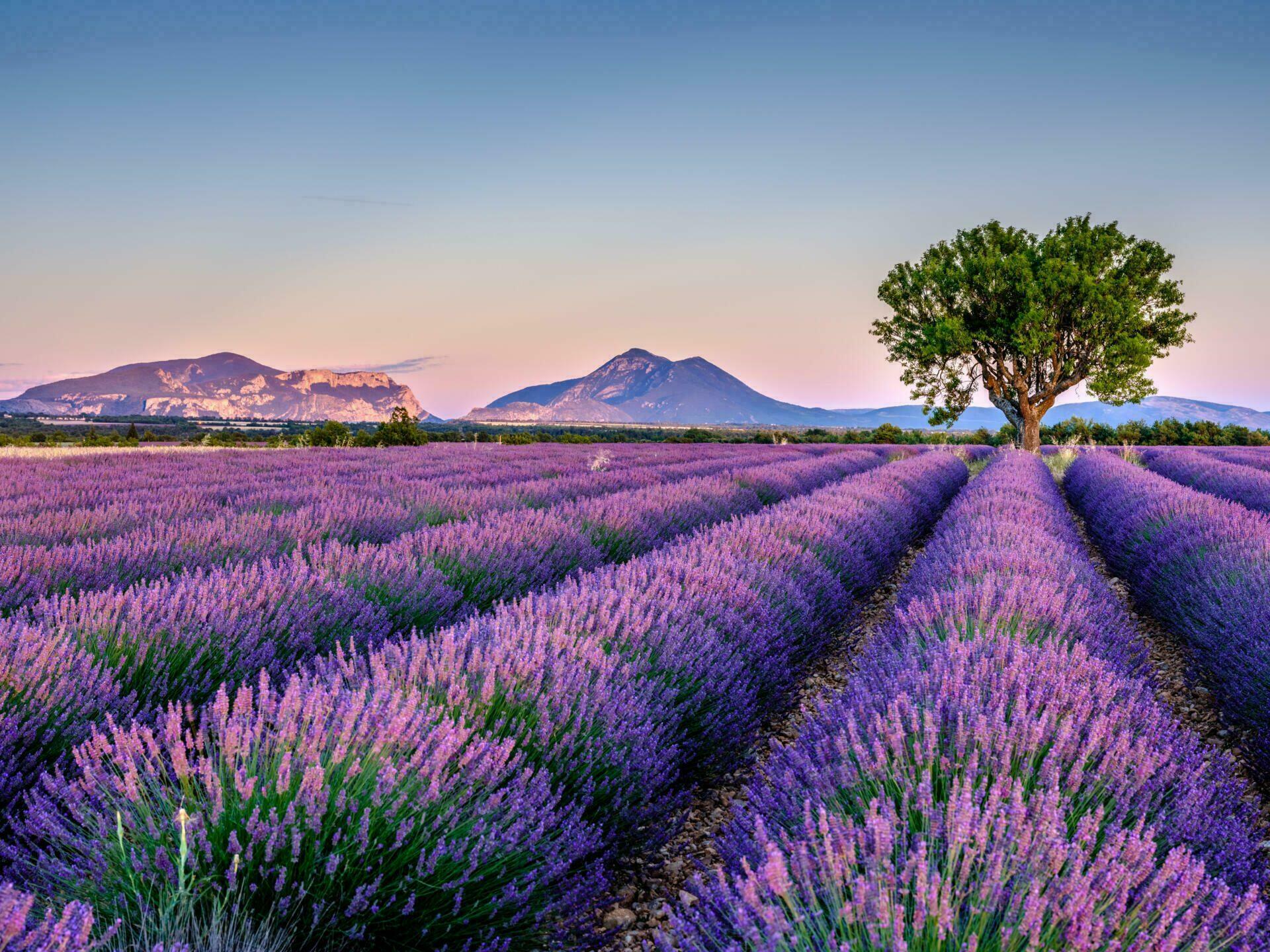 Les plus beaux endroits de France