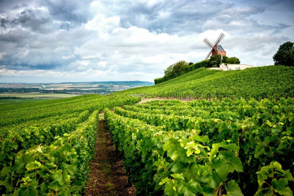 Les vignobles de Champagne